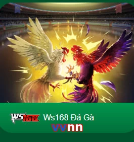 vvnn